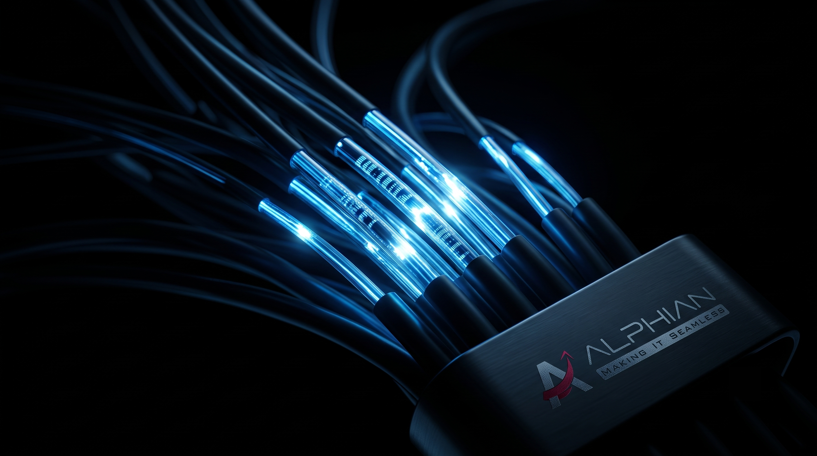 Alphian Secure Client Portal